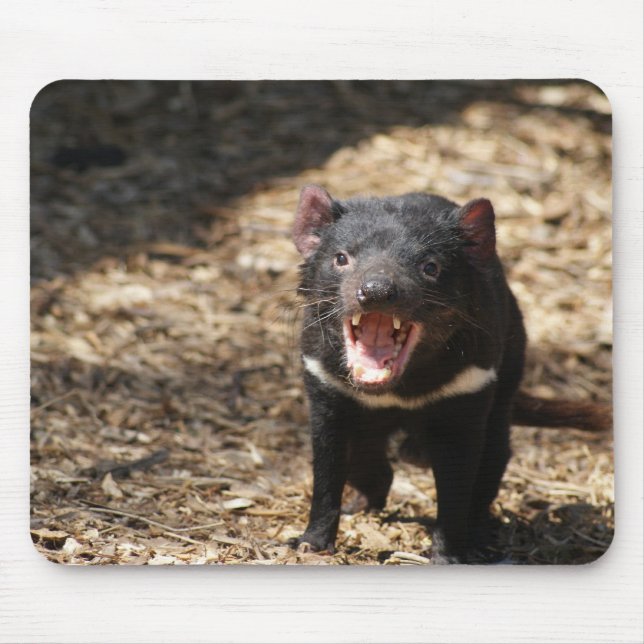 Mousepad Diabo tasmaniano (Frente)