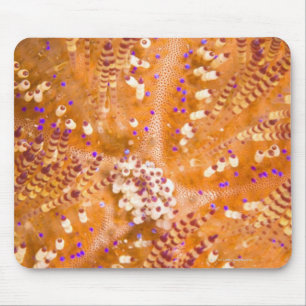 Mousepad Diabrete tóxico do fogo (varium de Asthenosoma)