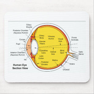 Mousepad Diagrama anatômico da bola do olho humano