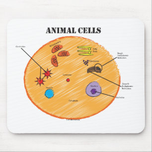Mousepad Diagrama animal da pilha