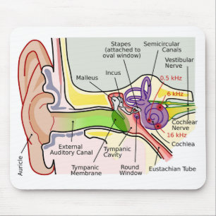Mousepad Diagrama de Mapeamento da Frequência do Ouvido Hum