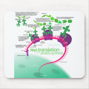 Mousepad Diagrama de Síntese de Proteínas da tradução de RN