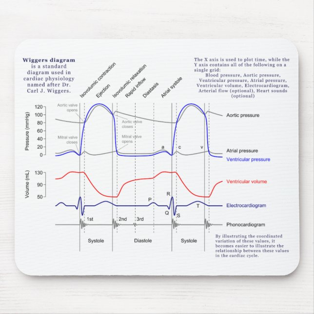 Mousepad Diagrama de Wiggers (Frente)