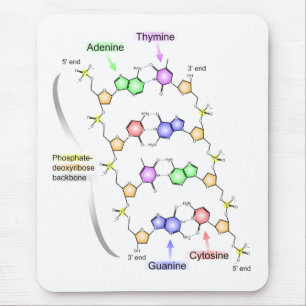 Mousepad Diagrama detalhado da estrutura química do ADN