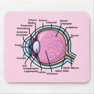 Mousepad Diagrama do Olho