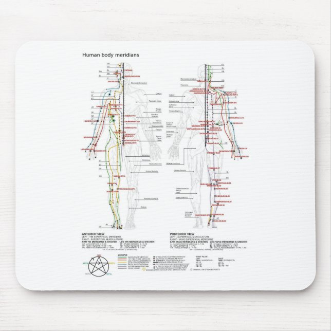 Mousepad Diagrama Esquemático dos Meridianos Chineses do Co (Frente)