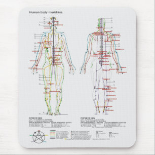 Mousepad Diagrama esquemático dos meridianos do corpo