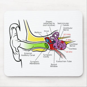 Mousepad Diagrama humano da orelha com traço cocleário da
