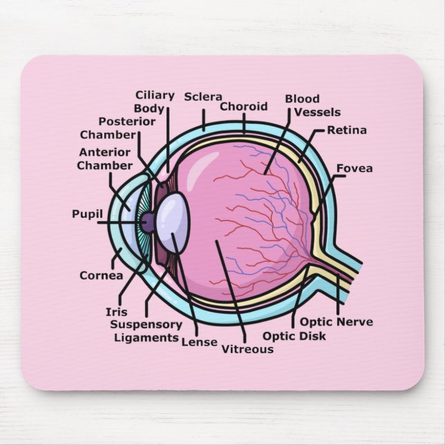 Mousepad Diagrama ocular (Frente)
