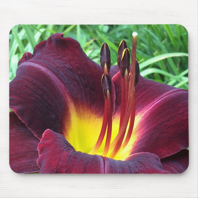 Mousepad DIARIAMENTE "Dominic" B. Vinho Negro. (Frente)