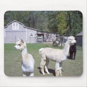 Mousepad Dias da alpaca