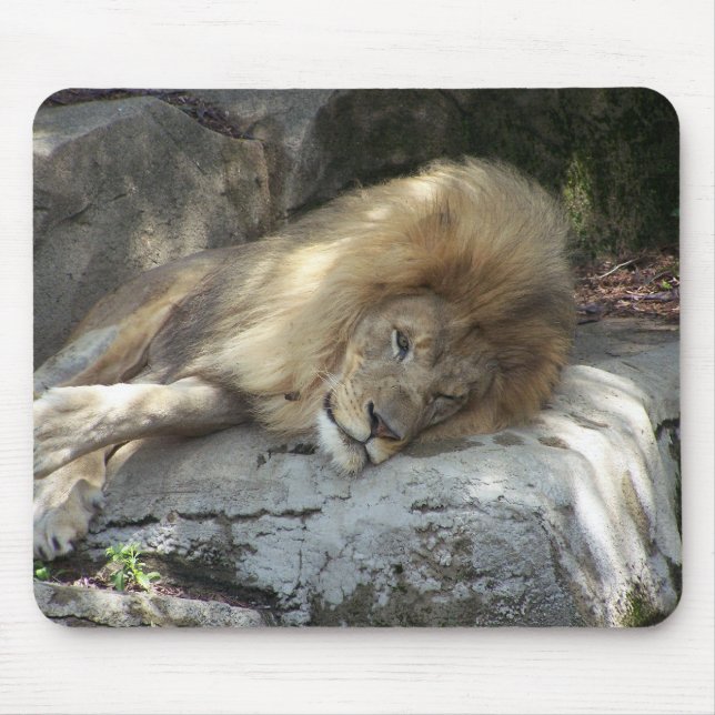 Mousepad Dias preguiçosos (Frente)