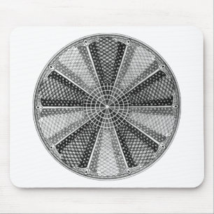 Mousepad Diatom 13 Ernst Haeckel Fine Art