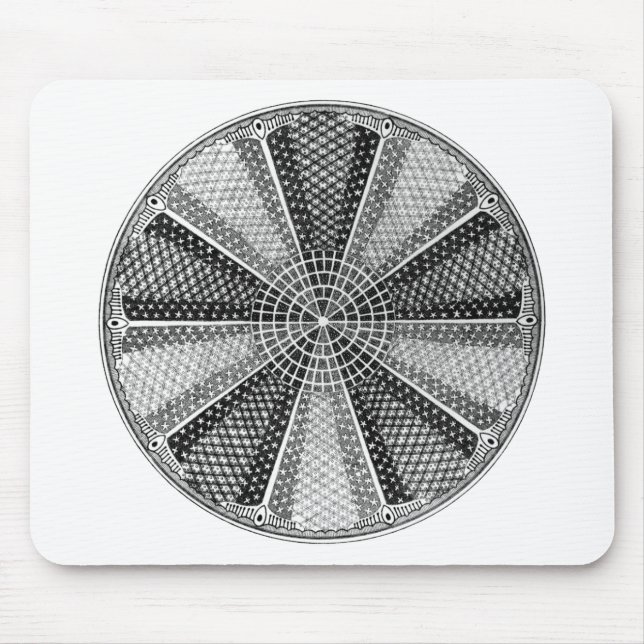 Mousepad Diatom 13 Ernst Haeckel Fine Art (Frente)