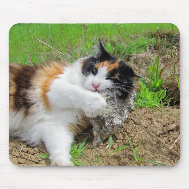 Mousepad Dieta rica em ferro (Frente)