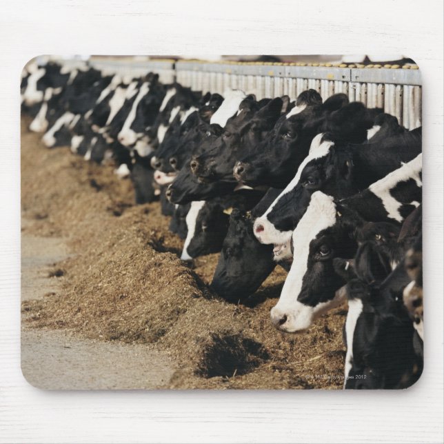 Mousepad Diminuição da Perspectiva das Cabeças de Vaca Graz (Frente)