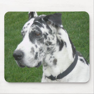 Mousepad Dinamarquês do Harlequin