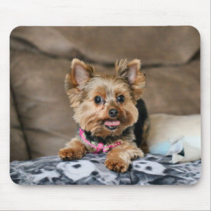 Mousepad Dinâmico pequeno