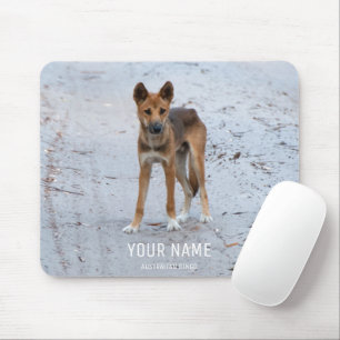 Mousepad Dingo Wild Dog Austrália Fraser Island Animal