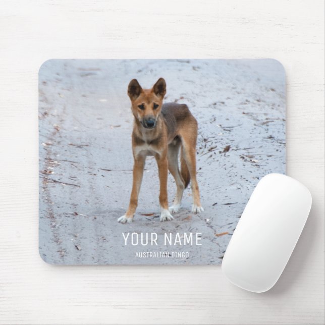 Mousepad Dingo Wild Dog Austrália Fraser Island Animal (Com mouse)