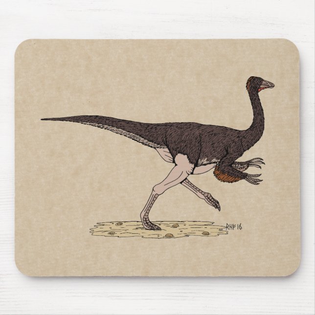 Mousepad Dinossauro Cretáceo Ornithomimus (Frente)