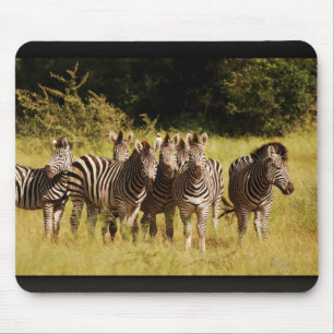 Mousepad Direito em você - animais selvagens do safari das