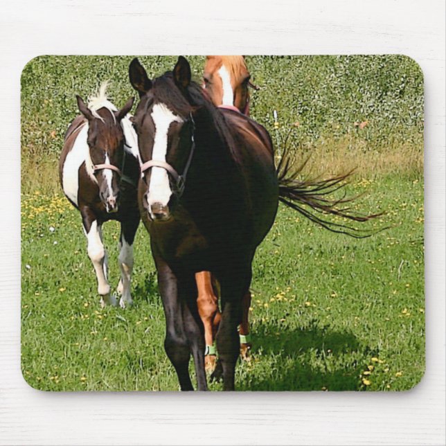 Mousepad Dirigindo em casa o tapete do rato (Frente)