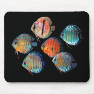 Mousepad Disco Selvagem