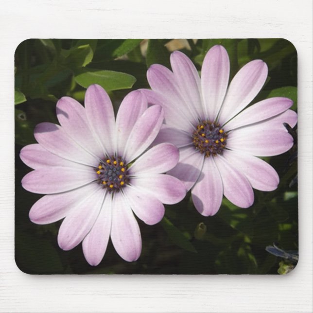 Mousepad Disias Roxas (Frente)