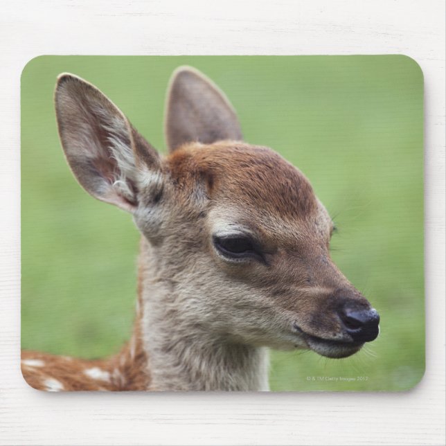 Mousepad Distrito de Nara, Honshu, Japão (Frente)