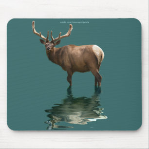 Mousepad Diversão de Design para o garoto em todos nós!