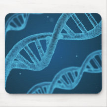 DNA Double Helix