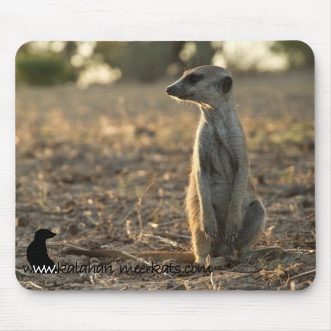 Mousepad do aniversário de Zaphod 12o (Frente)