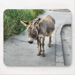 Mousepad do asno
