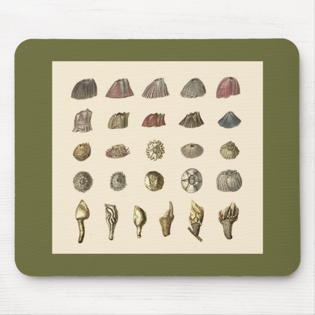 Mousepad do Barnacle (Frente)