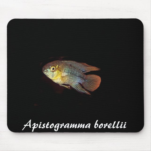 Mousepad do borellii de Apistogramma (Frente)