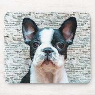 Mousepad do buldogue francês