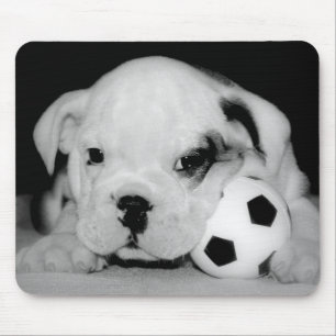 Mousepad Do "buldogue inglês do filhote de cachorro