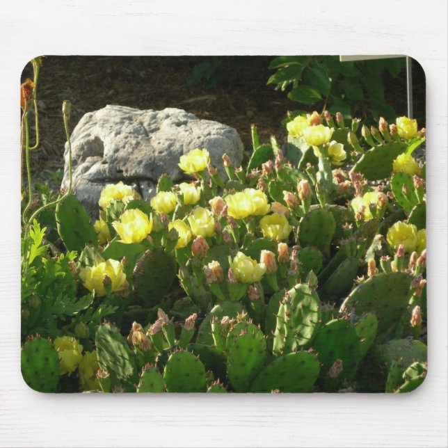Mousepad do cacto de pera espinhosa (Frente)