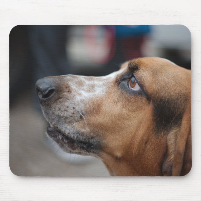 Mousepad do cão (Frente)