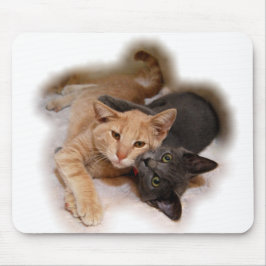 Mousepad do Cat Lovers
