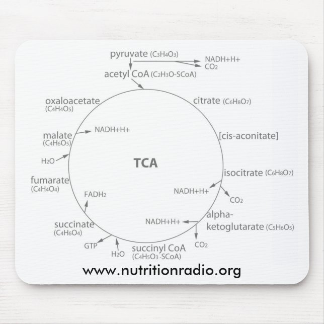 Mousepad do ciclo de Krebs, www.nutritionradio.org (Frente)