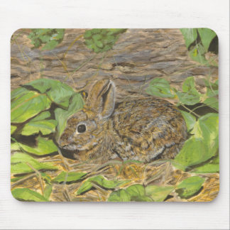 Mousepad do coelho