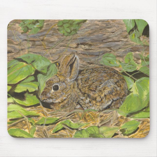 Mousepad do coelho (Frente)