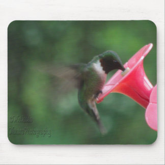 mousepad do colibri