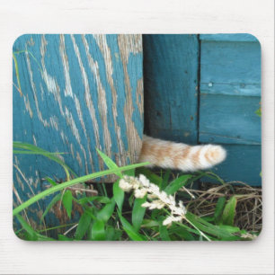 Mousepad do ~ da cauda de gato