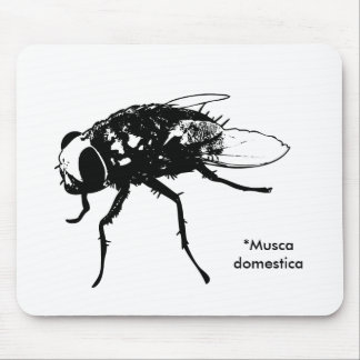Mousepad do domestica do Musca