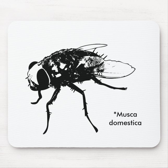 Mousepad do domestica do Musca (Frente)