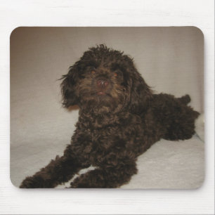 mousepad do doogy