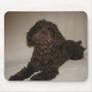 mousepad do doogy